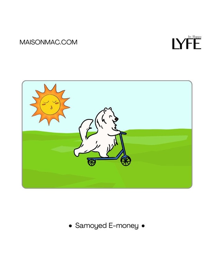 K-LYFE / E-money - Image 2